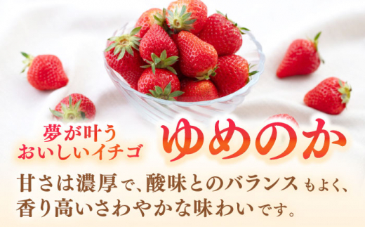 壱岐市産 いちご ゆめのか 1kg（250g×4パック）《壱岐市》【壱岐市農業協同組合】 イチゴ フルーツ 果物 スムージー 完熟 春いちご [JBO138] 12000 12000円
