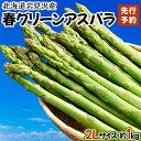 【ふるさと納税】寄附額改定↓【先行予約/令和7年産】北海道岩見沢産　春グリーンアスパラ　2Lサイズ 1kg【41103】北海道 岩見沢市 アスパラガス 野菜 夏野菜 旬 新鮮 産地直送 採れたて