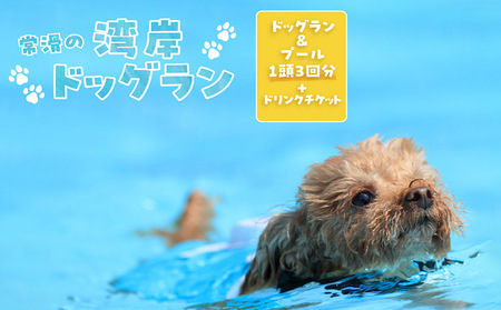 【海を一望できるドッグラン 利用チケット】ドッグラン＋プール利用 1頭 3回+ドリンクチケット 犬 ペット 天然芝 プール おでかけ 知多半島 伊勢湾 オーシャンビュー 海沿い 観光 体験チケット カフェ ペット同伴 犬連れ ドッグラン 愛犬 大型犬 中型犬 小型犬 dog 利用券 体験券 広い 屋内 屋外 雨の日 愛知県 常滑市