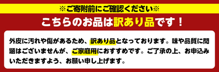 ＜先行予約受付中！2027年1月中旬以降順次発送予定＞訳あり紅甘夏(約20kg) 国産 鹿児島県 阿久根市 果実 果物 フルーツ 柑橘 紅甘夏 みかん ミカン 期間限定 数量限定【桐野柑橘株式会社】a