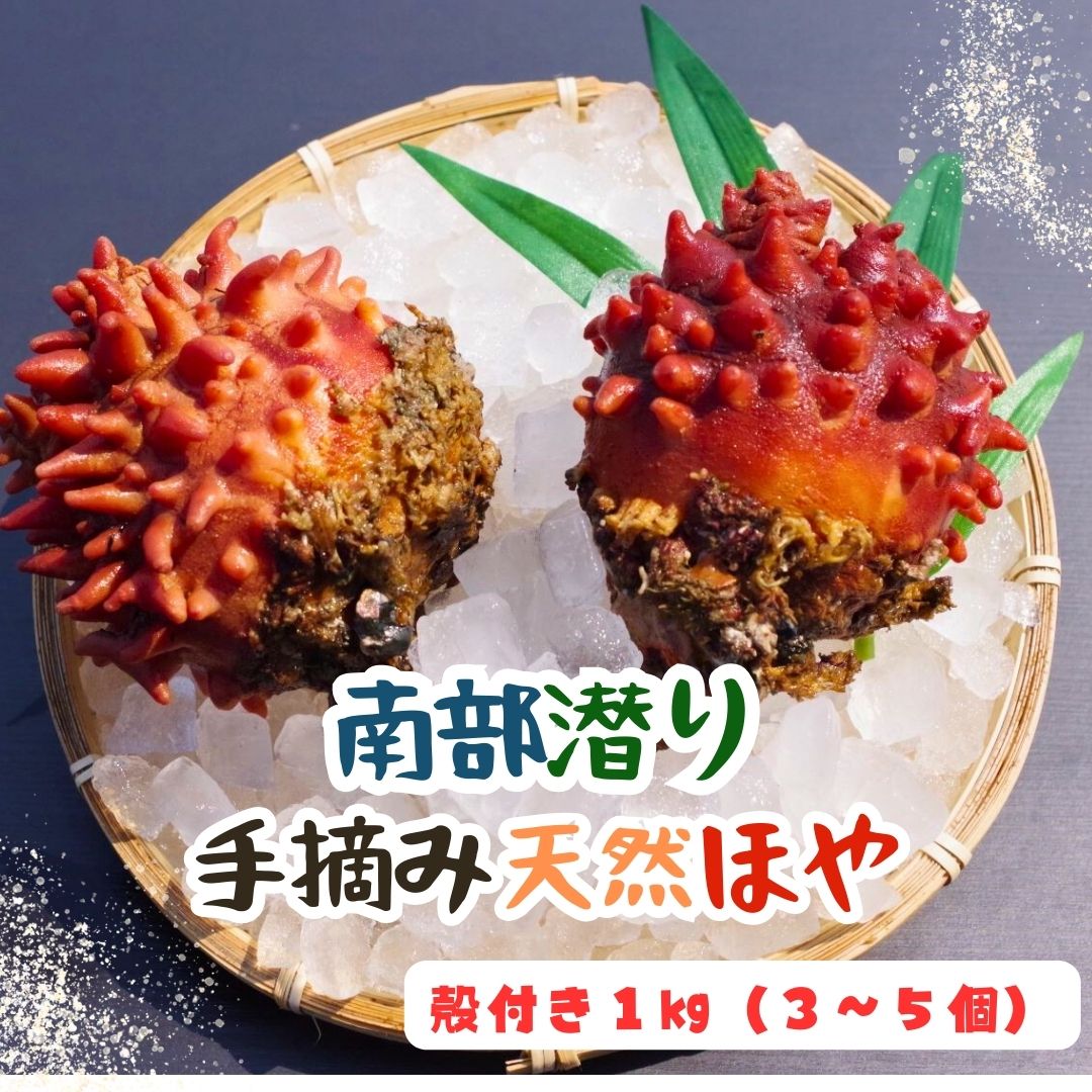 【ふるさと納税】【殻付】南部潜りの手摘み天然ほや 1kg（3～5個）伝統 南部ダイバー 産地直送