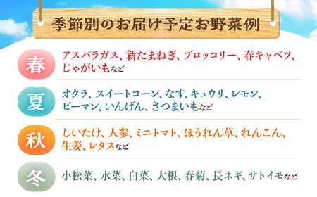 野菜 12回定期便  諫早産野菜の詰め合わせ 8・9品目程度 [AHDI003]