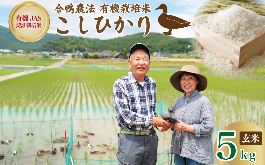
                  コシヒカリ 玄米 5kg オーガニック あいがも 有機栽培米 合鴨常陸青龍米 | 有機JAS認証 有機栽培 有機米 森 ミネラル 水 安全 安心 美味しい 米合鴨農法 健康 自然環境 負荷かけない 農業 人気 茨城県 常陸太田市
                