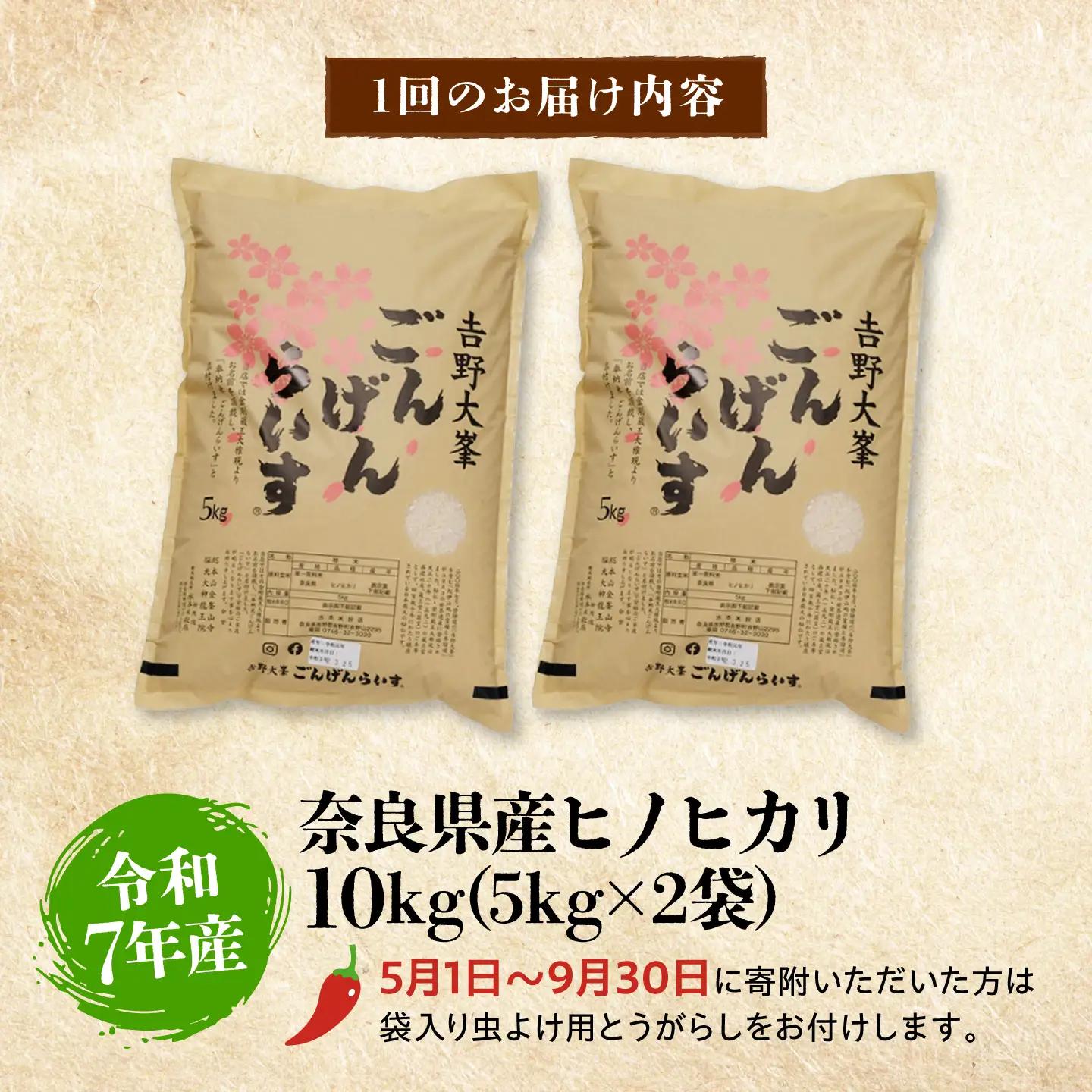 【3回定期便】白米 10kg ひのひかり[BRAW064] ひのひかり