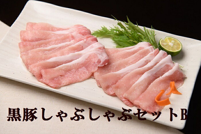 【ふるさと納税】北海道 黒豚 しゃぶしゃぶセットB 4500g