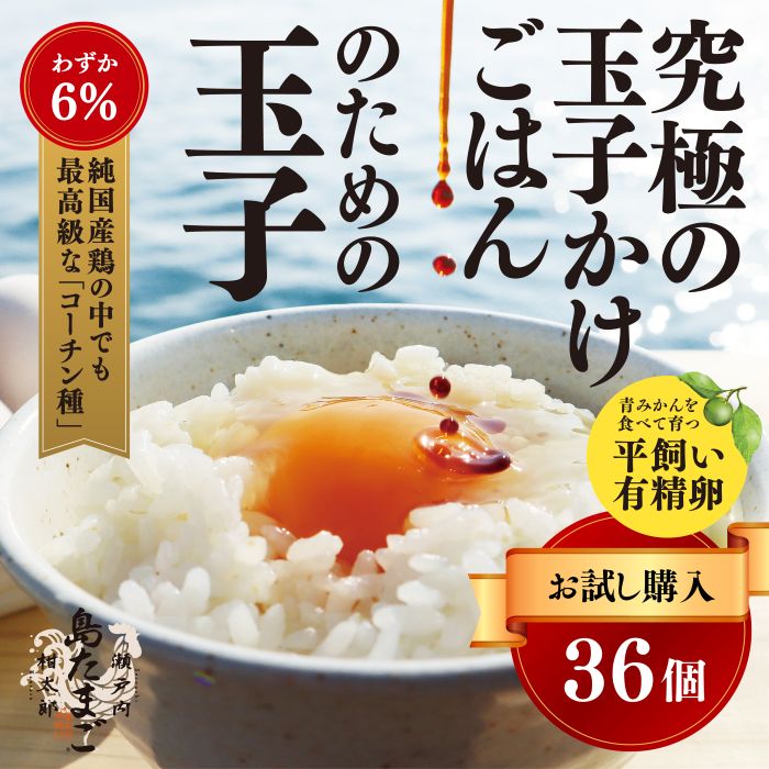 【ふるさと納税】新鮮 卵【お試し夏季】瀬戸内柑太郎『島たまご』平飼い有精卵 36個(34個＋割れ補償2個) 平飼い 純国産鶏 コーチン種 たまご 佐木島 三原 広島 夏季 017071