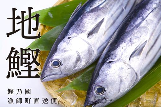 【初鰹・戻り鰹 食べ比べ定期便】 先行予約 R8 4月・10月 お届け 一本釣り地鰹の藁焼きタタキ ( 生 ) 3～4人前 冷蔵 高知 久礼 ど久礼もん かつおのたたき わら焼き 薬味 タレ付き  日