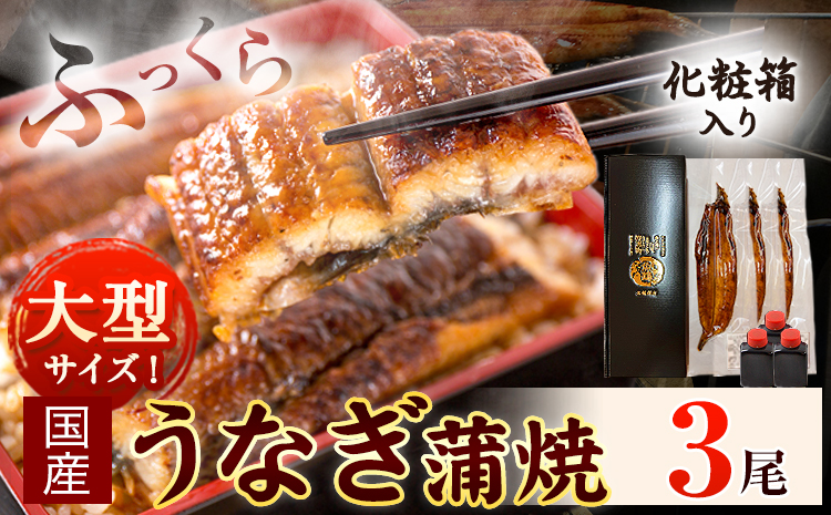 大型サイズ ふっくら柔らか国産 うなぎ 蒲焼き 3尾 化粧箱入(真空パック入) 株式会社魚鶴《30日以内に出荷予定(土日祝除く)》 和歌山県 日高川町 うなぎ 鰻 ギフト 贈り物---wshg_fuo