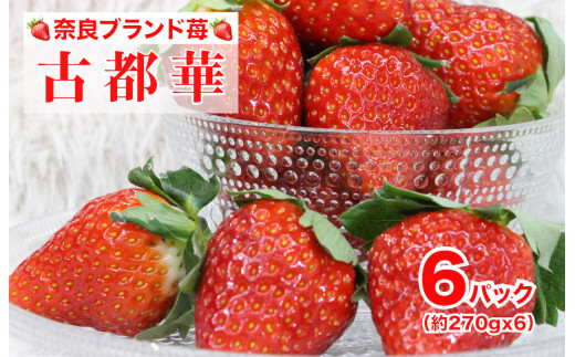 いちご 古都華 ことか 苺 奈良 約270gx6パック 計1620g 高級いちご 完熟 苺 産地 産地直送 フレッシュ イチゴ 贈答 フルーツ 果物 国産 冷蔵 奈良県 河合町 ふるさと人気 人気いちご ふるさと納税いちご ふるさといちご furusatoいちご おすすめいちご 送料無料いちご 奈良県