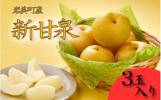 【先行予約】中野農園 梨 ”新甘泉” 3玉入り｜鳥取 岩美 梨 なし ナシ【41019】