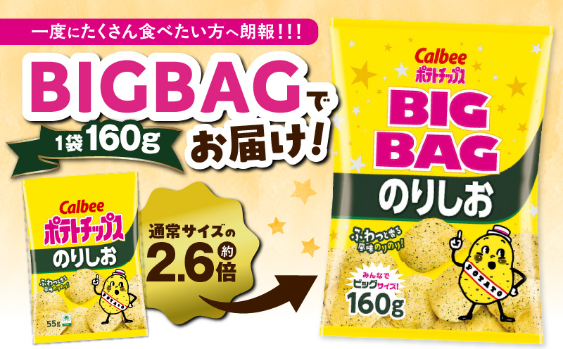 カルビー ポテトチップス BIGBAG【のりしお】12袋　K194-002_08