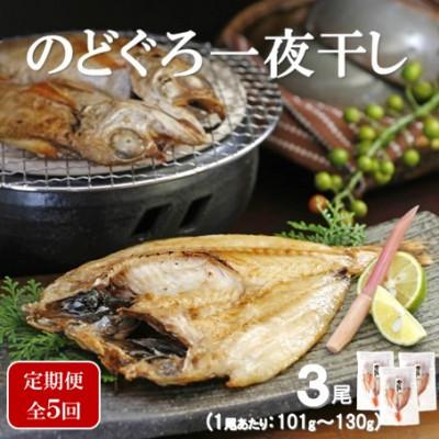 ふるさと納税 大田市 【毎月定期便】のどぐろ一夜干し3尾(1尾:101g〜130g)全5回