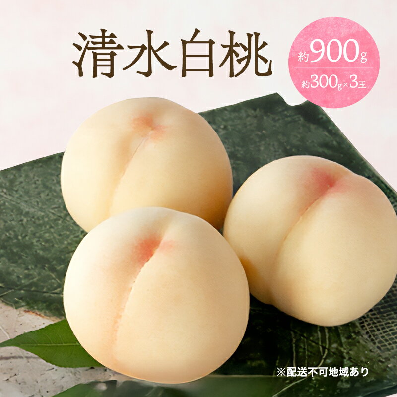 【ふるさと納税】桃 2026年 先行予約 清水 白桃 3玉 合計約900g （1玉約300g） 桃 もも モモ 白桃 清水白桃 岡山白桃 岡山県産 岡山 国産 フルーツ 果物 ジューシー 果汁 甘い とろける 夏 産地直送 お届け：2026年7月中旬〜2026年8月上旬