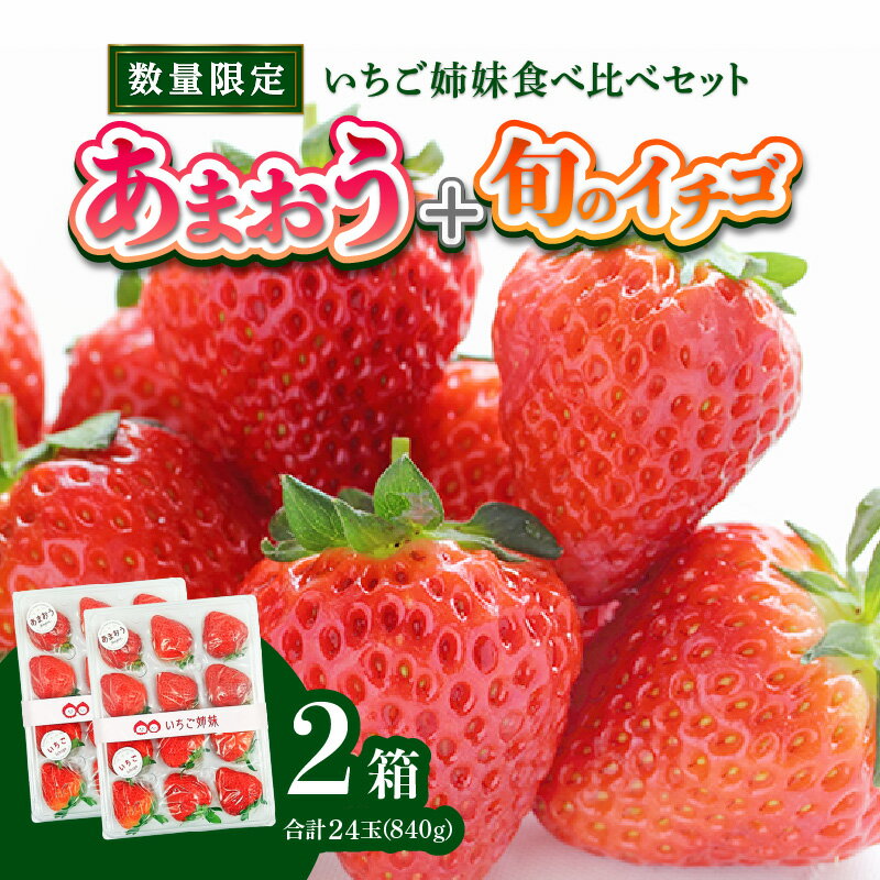 【ふるさと納税】＜2026年1月～順次発送＞いちご姉妹【あまおう＋旬のイチゴ】食べ比べセット★数量限定★ あまおう いちご 苺 イチゴ フルーツ 果物 くだもの 人気 旬 福岡県産 食べ比べ 採れたて 2品種 セット 冷蔵配送 箱入り 贈答品 プレゼント 産地直送 福岡県 八女市