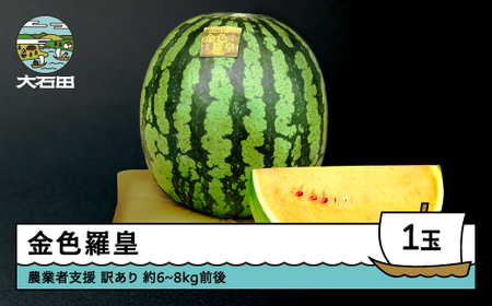 すいか 訳あり 大玉 金色羅皇 約6~8kg前後 1玉 令和8年産 山形県産  8月上旬から順次発送 mn-suwkr