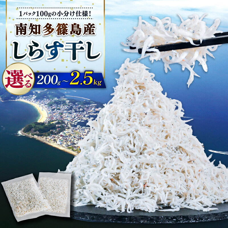 【ふるさと納税】 しらす干し 約200g~2.5kg（100g×2パック~25パック） 南知多篠島産 大一商店 冷凍 小分けパック ふるさと納税 国産 本場 贈答 ギフト ちりめん しらす シラス 魚 海鮮 選べる小分け 美味しい お弁当 おかず パスタ 美味しい しらす丼 夕食 惣菜 コメに合う