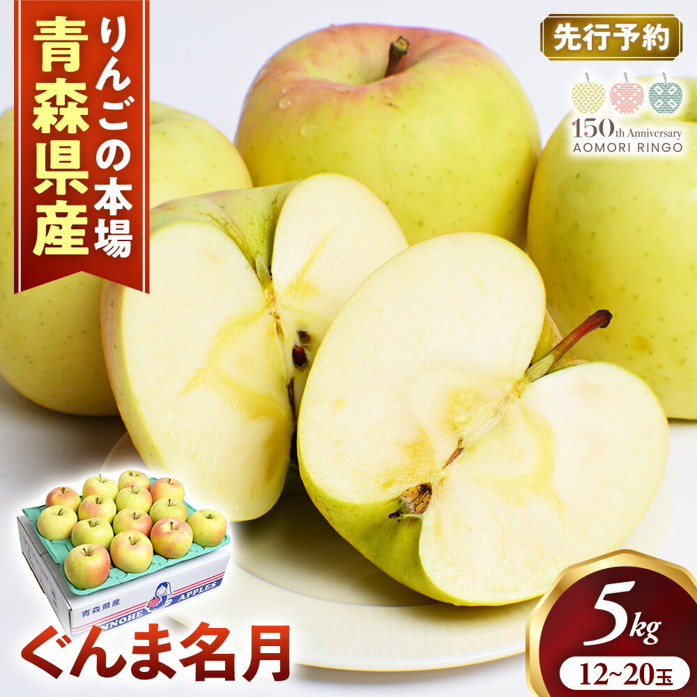 【ふるさと納税】【2026年産・先行予約】 青森りんご【ぐんま名月】約5kg（12〜20玉）★2026年11月上旬〜12月下旬頃まで発送予定★りんご 林檎 リンゴ 国産 ぐんま名月 フルーツ 果物 贈答 土産 青森県 三戸町 R0113