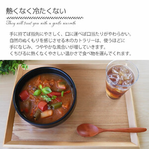 みよし漆器本舗 天然木製 カレースプーン 食洗機対応 18cm 5本セット 木製 紀州PROコート 漆塗り