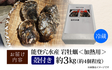 奥能登 松村水産の岩牡蠣 約3kg【殻付き・加熱用】 【2025年6月中旬より順次発送】/ 魚介類 海鮮 かき 