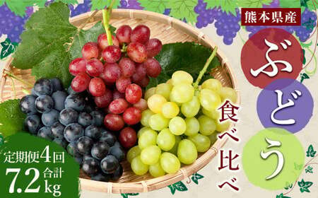 【4回定期便】ぶどう食べ比べ 約1.8kg （3～5房）×4回 合計約7.2kg【2026年7月下旬～10月下旬迄順次発送予定】ブドウ 果物 フルーツ 食べ比べ 定期便