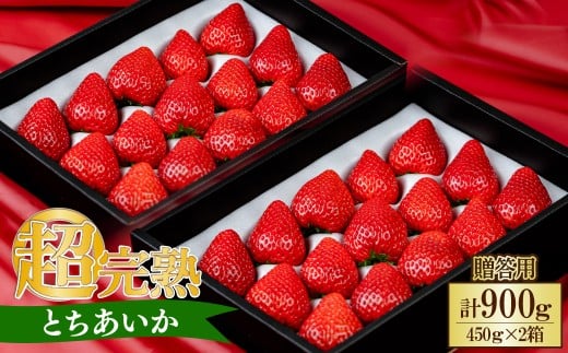 【先行受付：2月以降発送】いちご 小島さんちの完熟 とちあいか ギフト 約450g×2パック 合計 約900g | いちご イチゴ 苺 とちあいか 完熟 大粒 果物 フルーツ 贈答 ギフト くだもの あまい 甘い 産地直送 栃木県産 小島いちご園 栃木県 茂木町
