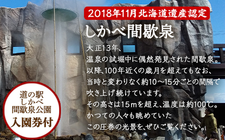 【お土産付き】鮭の遡上見学体験 2名様分 根昆布だし お土産付き 道の駅しかべ間歇泉公園 入園券付 旅行 観光 体験 送料無料 
