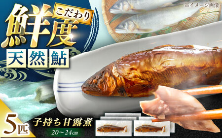 子持ち 天然あゆ の甘露煮 5匹【スピード配送】/ 恵那市 / 恵那物産館 [AUFS005]