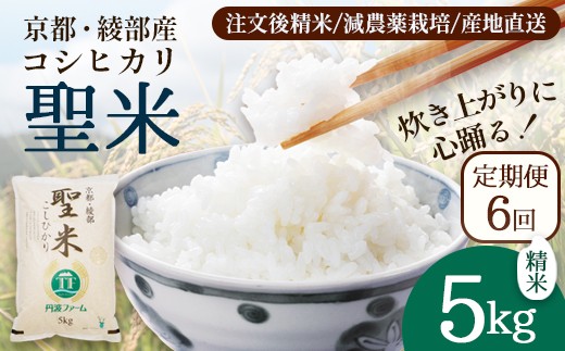 【定期便6回】聖米(白米) 5kg×6回 / 米 白米 定期便 綾部市 / 有限会社カメイ［BSDY072］