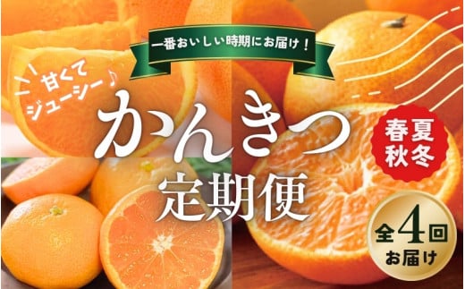 【全4回】 柑橘 定期便 石本果樹園 旬の柑橘を春夏秋冬でお届け！ /  フルーツ 果物 くだもの 柑橘 フルーツ定期便 くだもの定期便 定期便 みかん ミカン 温州みかん せとか カラマンダリン ハウスみかん 産地直送 旬 人気 おすすめ 三重県 紀宝町