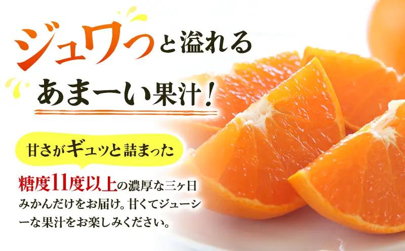 みかん 三ヶ日みかん 早生 5kg S〜L 混在 みかん