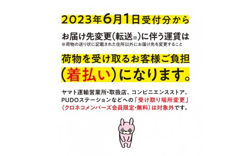 りんご 無袋ふじ 秀品 5kg 【12月上旬～下旬発送】 サンふじ 山形県 朝日町産 山形県産 特産 果物 フルーツ リンゴ 林檎 冬