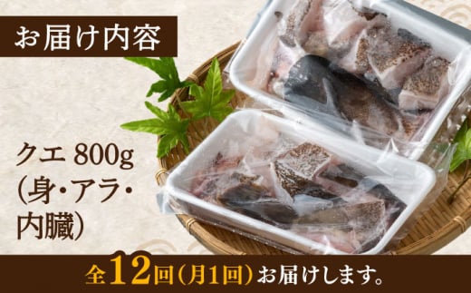 【全12回定期便】幻の魚 クエ 鍋 セット 800g 《対馬市》【海風商事】九州 長崎 対馬 ちり鍋 アラ [WAD034]くえ 高級魚 魚 クエ 希少 人気 ランキング 冷凍 対馬 長崎 九州 つし