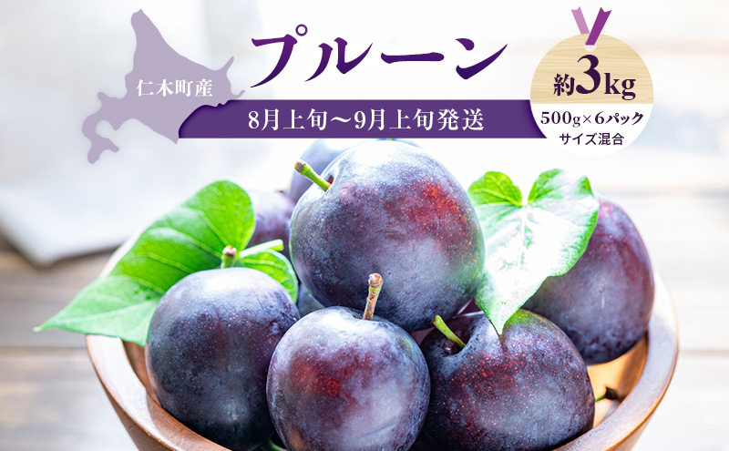 [先行受付] 【8月上旬～9月上旬出荷】北海道 仁木町産 プルーン 約3kg（500g×6パック）サイズ混合 果物類 フルーツ 果物 詰合せ セット [くだもの直売  もり園]