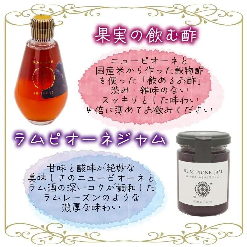 【2026年先行予約】花笑み農園 岡山の『シャイン&ラムピオーネジャム&飲む酢』S-JN【hana088-01】