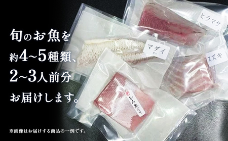 【9月配送開始】〈配送地域限定〉 産地直送 氷見漁港 朝どれ鮮魚お刺身セット定期便3ヶ月連続配達指定なし