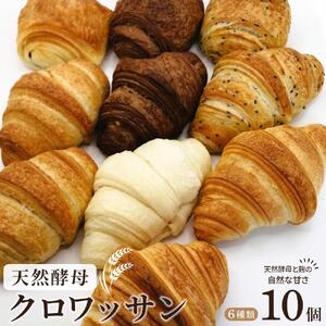 天然酵母 クロワッサン 8種類 計10個セット 