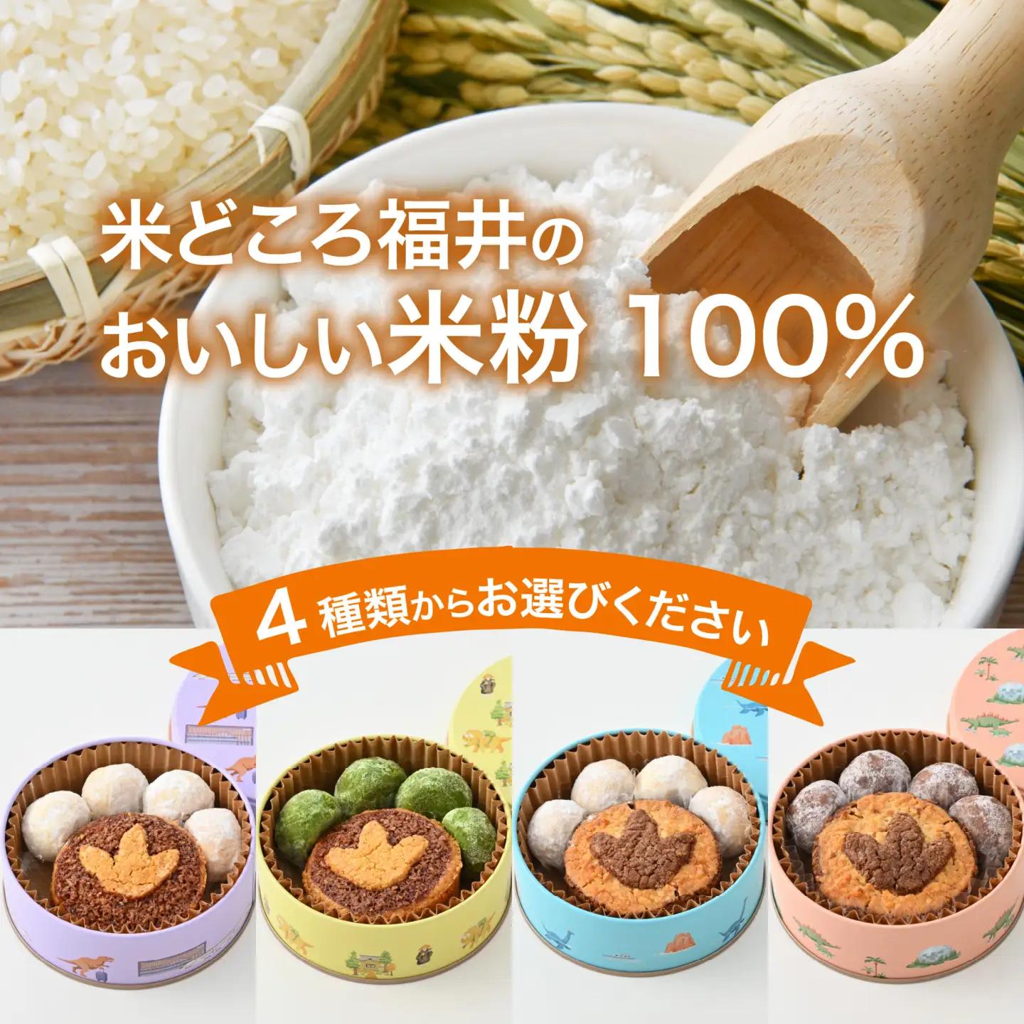 恐竜サブレ缶（小） 福井駅ティラノ缶 [A-135005_01]  きょうりゅう