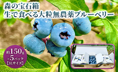 森の宝石箱 生で食べる大粒無農薬（栽培期間中）ブルーベリー 約150g×5パック 3Lサイズ 