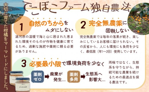 柑橘の庭 マーマレード 2種セット