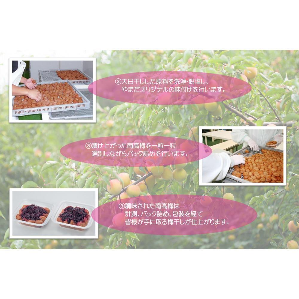 紀州南高梅 しそプレミアム塩分約6％ 500g ［YM13］　DX90016_イメージ5