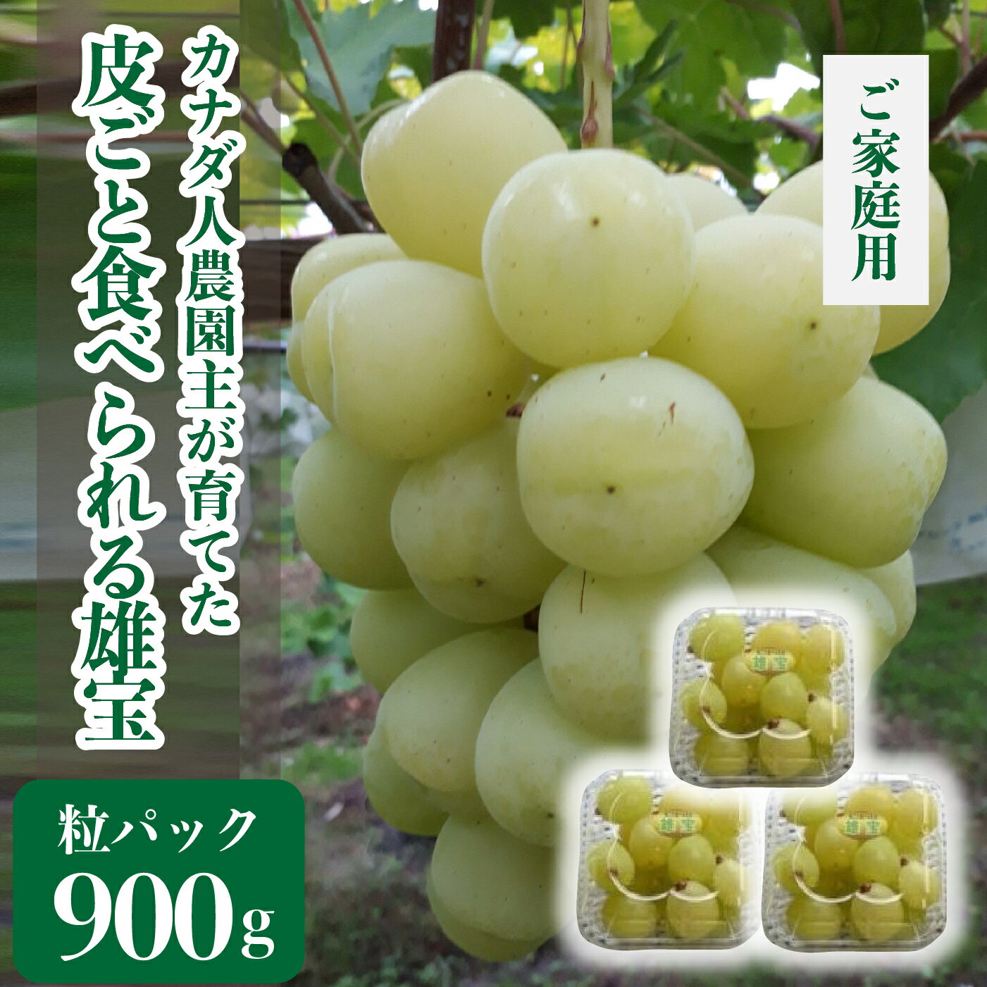 【ふるさと納税】雄宝(ゆうほう) 粒パック約900kg(ご家庭用)【先行予約・数量限定】カナダ人農園主 ぶどう ブドウ フルーツ 果物 くだもの 産地直送 世羅 ラピアビンヤード【2025年10月上旬頃より順次発送】A021-19