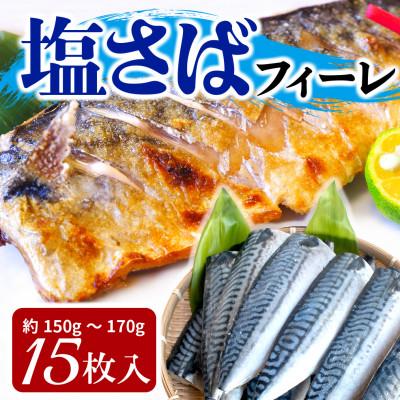 ふるさと納税 銚子市 塩サバフィーレ　15枚入り