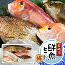 【ふるさと納税】プロの目利きで選別 長崎 魚 3～5種 詰め合わせ 刺身 焼魚 ギフト セット お取り寄せ グルメ 魚介 鮮魚 海鮮 海の幸（梅） | 長崎県 九州 楽天ふるさと 納税 返礼品 支援 食べ物 さかな 魚介類 お刺身 さしみ 刺し身 取り寄せ