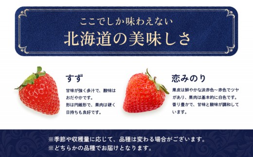 【2027年１月以降発送！】【北海道産】ゆきいちご（すずor恋みのり） ２Pセット 各250g×２ 計500g