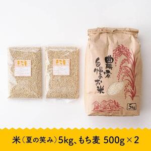 令和7年産　宮崎県産　お米5kg(夏の笑み)&もち麦500g×2袋 【 宮崎県産 米 こめ 精米 おにぎり もち麦 穀物 】