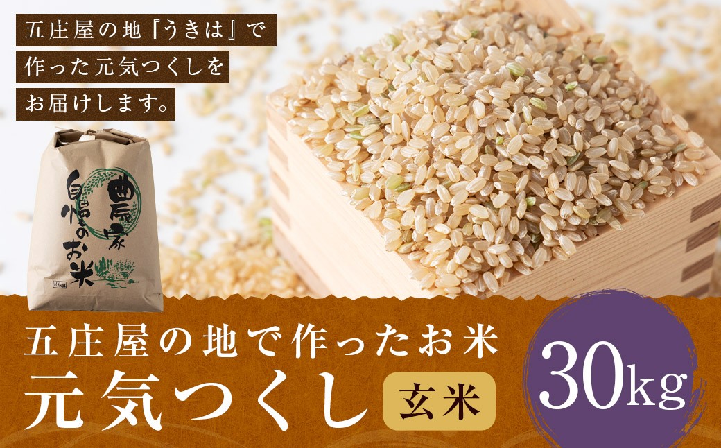
                  【特Aランク米】五庄屋の地で作ったお米 元気つくし 玄米 (30kg) 【2025年10月上旬より順次発送予定】 こめ コメ ごはん ご飯 福岡県うきは市産 九州産
                