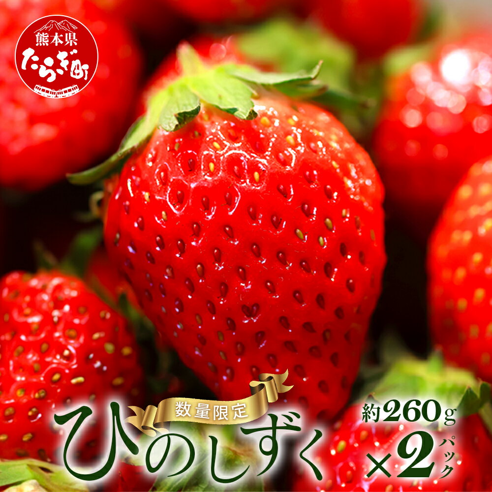 【ふるさと納税】《先行予約》熊本県産 いちご【ひのしずく】約520g(260g×2パック) 坂下農園 産地直送 国産 希少 新鮮 フレッシュ イチゴ 2パック 苺 フルーツ 果物 春 名産 熊本 多良木町 ビタミン 旬 いちご フルーツ 果物 くだもの 果実 熊本県 多良木町 送料無料