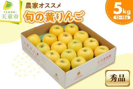 農家 オススメ 旬の黄 りんご 5㎏ 果物 山形 リンゴ
