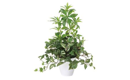 光の楽園 ミックスフレッシュアセビ【配送不可：北海道・沖縄・離島】 インテリア 光触媒 人工植物 造花 フェイクグリーン 花 フラワー 清浄 消臭 浜松市