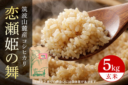 【玄米5kg】筑波山麓厳選米【特A】令和7年産コシヒカリ（恋瀬姫の舞） B07-020